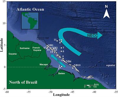 Zooplankton From a Reef System Under the Influence of the <mark class="highlighted">Amazon River Plume</mark>